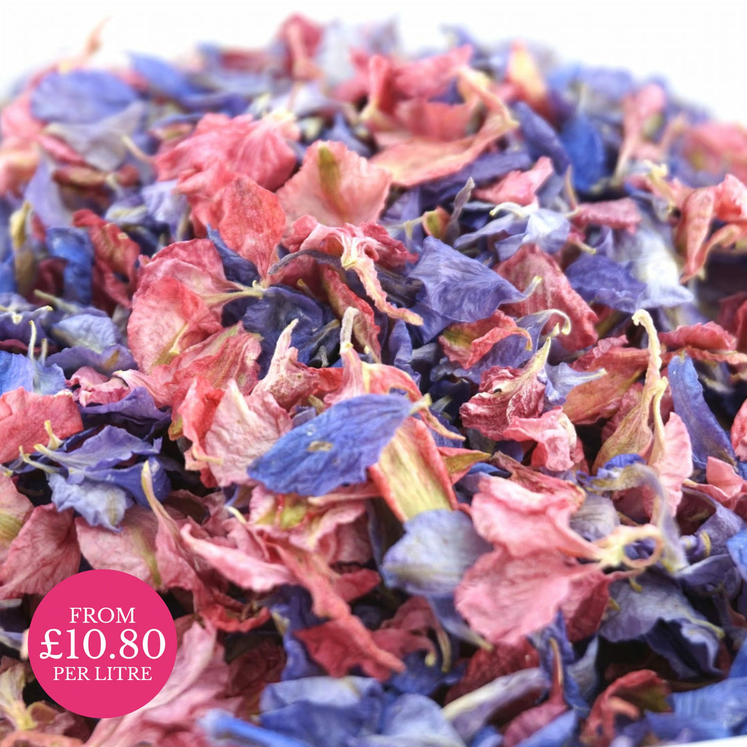 Larkspur Dried Petals Wedding Confetti Forest Fruits