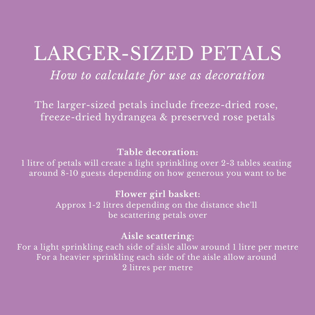 Dried Petals Wedding Confetti Mix Summer Days