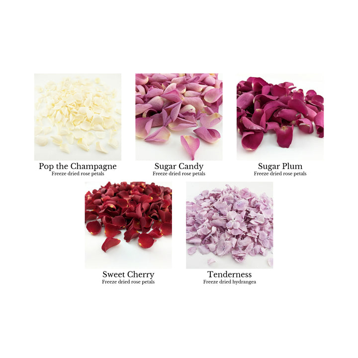 Freeze-dried petals colour chart -  page 2 - choose your confetti petals - biodegradable confetti - natural confetti - The Dried Petal Company