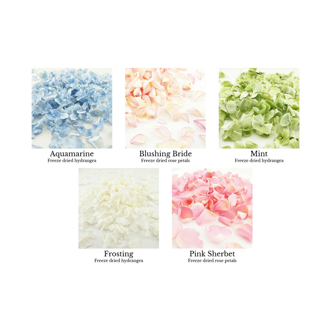 Freeze-dried petals colour chart -  page 1 - choose your confetti petals - biodegradable confetti - natural confetti - The Dried Petal Company