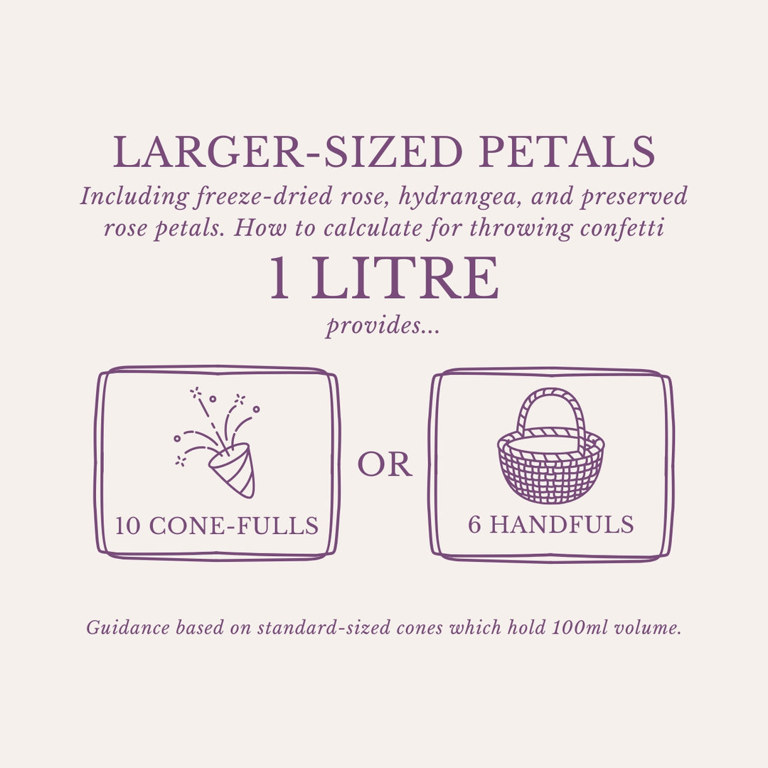 Preserved Rose Petals Wedding Confetti White