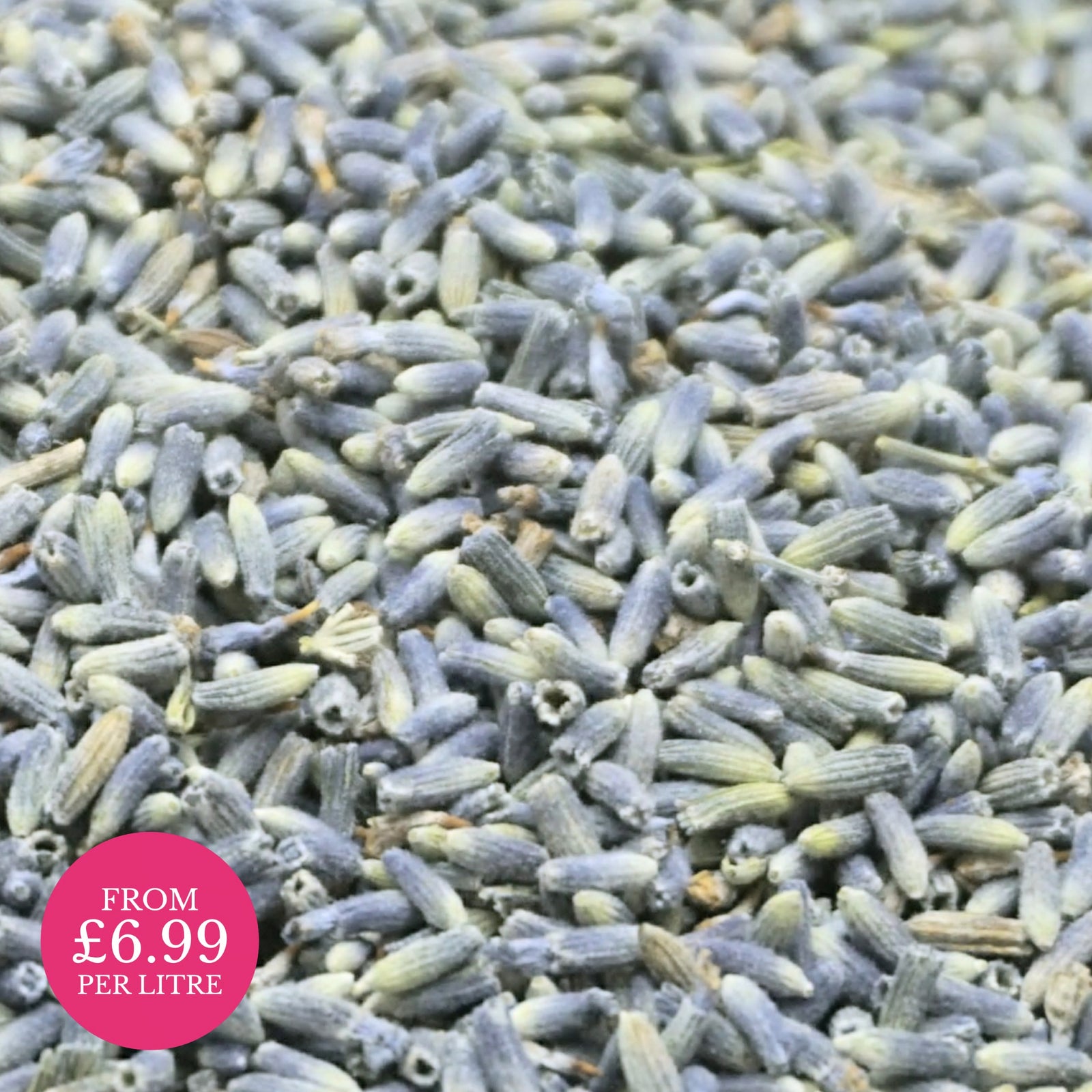 Provence lavender grain - natural confetti -wedding confetti - The Dried Petal Company