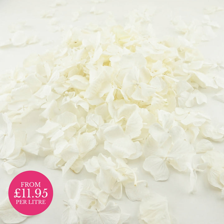 Freeze-Dried Hydrangea Petals Wedding Confetti Frosting