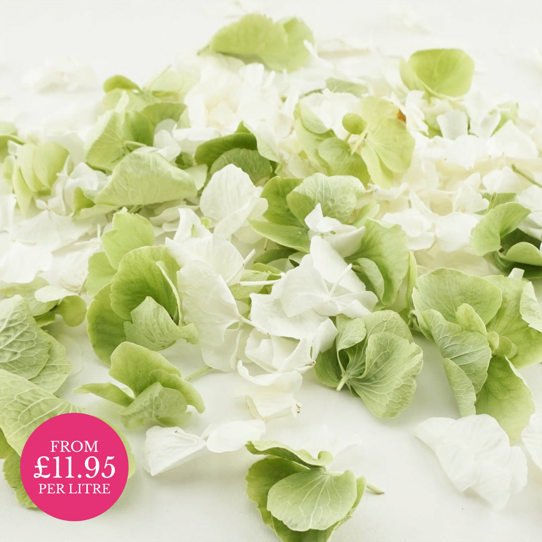 Freeze-Dried Hydrangea Petal Wedding Confetti Hint of Mint