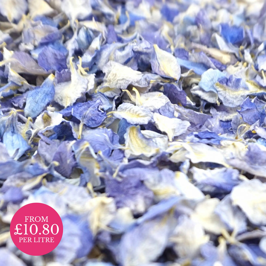 Iced Blue - Dried Petal Wedding Confetti - larkspur petals - british grown - natural confetti - biodegradable confetti - flower confetti - The Dried Petal Company
