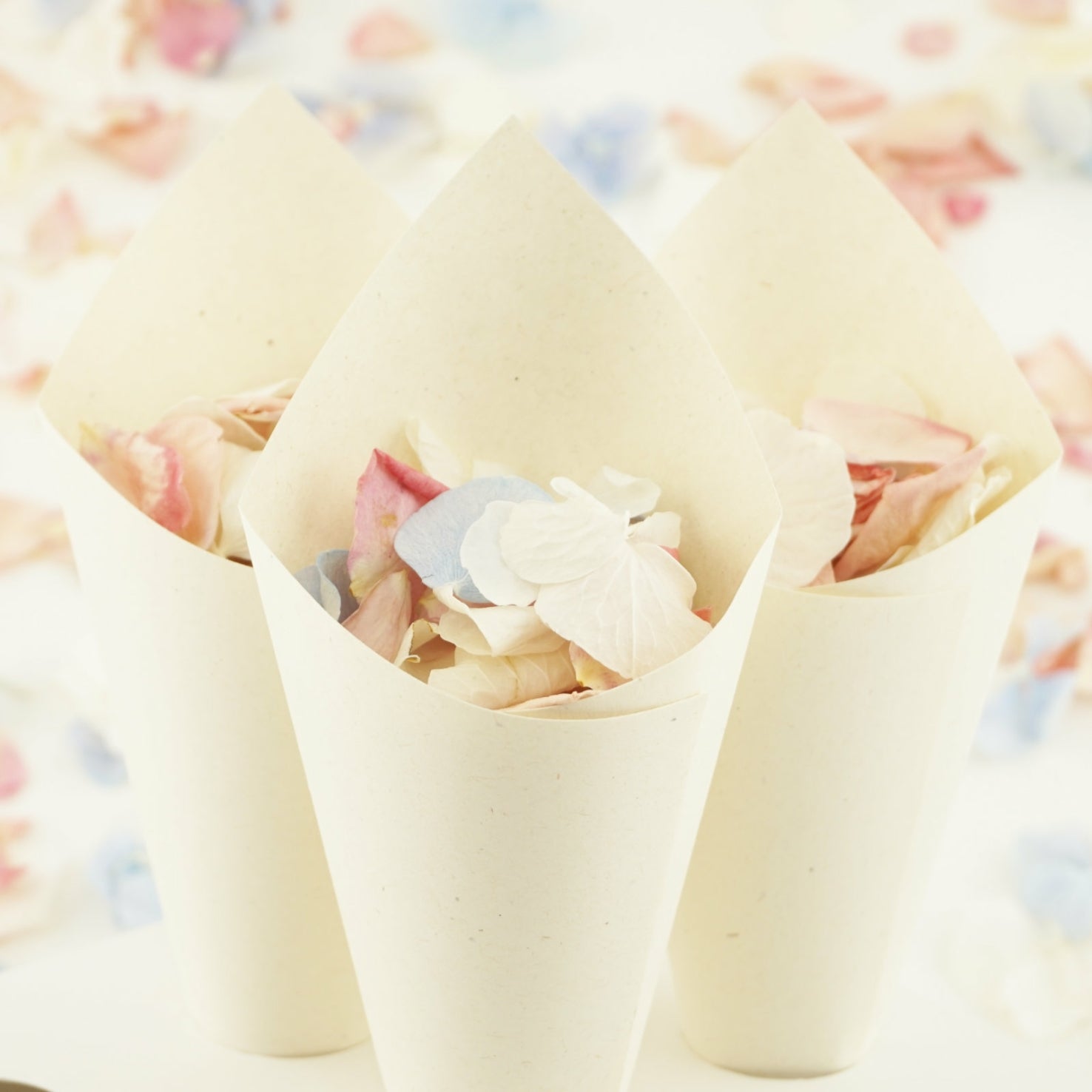 Confetti Cone Dried Flower Petals for Tossing Just Married Celebration –  ThePrettyPartyBoxx