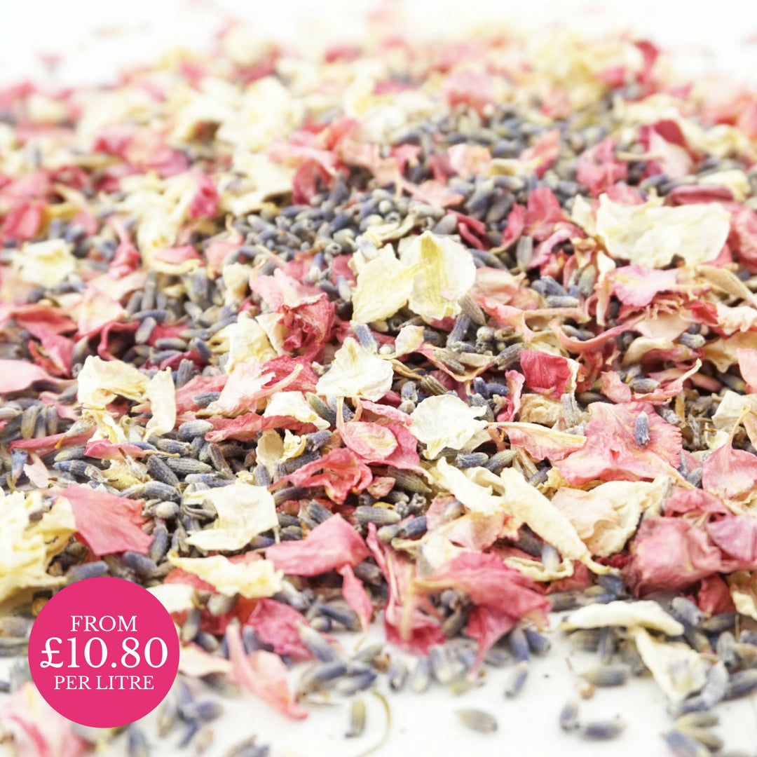 Joy - larkspur lavender petal mix - wedding confetti - flower confetti - natural confetti - biodegradable confetti - The Dried Petal Company