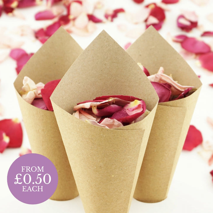 Recycled Kraft Brown Wedding Confetti Cones