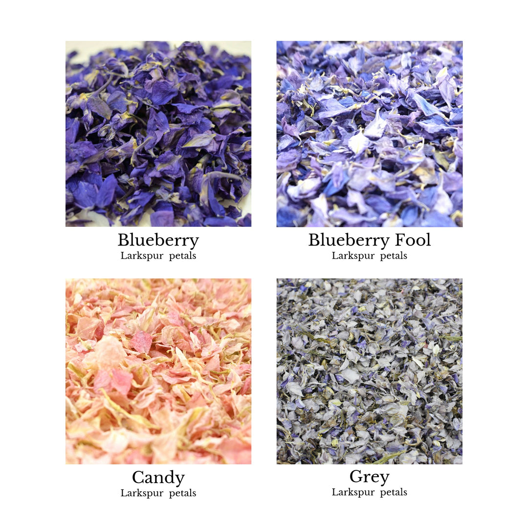 Create your own confetti mix - wedding confetti petals - biodegradable confetti - natural confetti - real flower petals - larkspur petals - petal colour chart - The Dried Petal Company