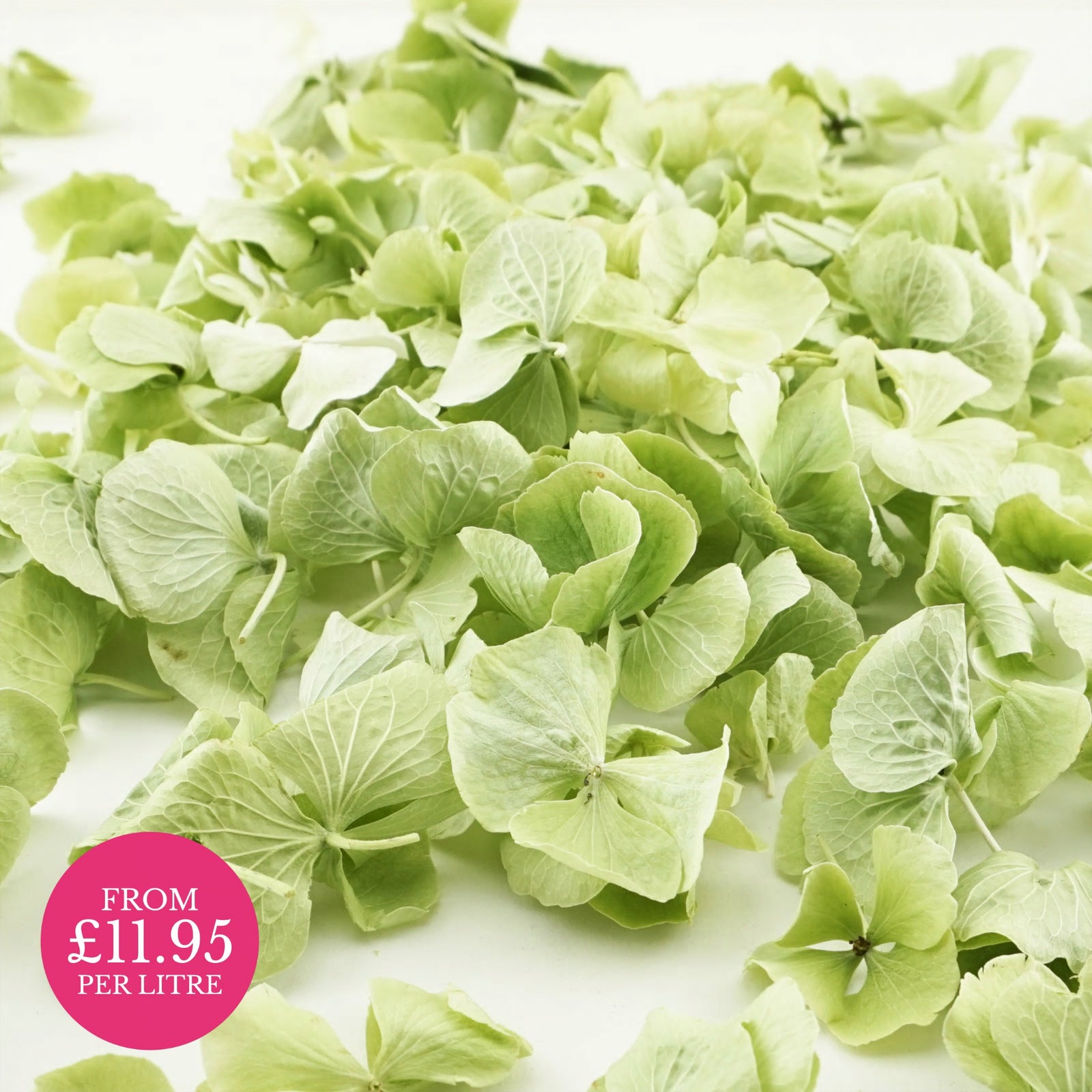 Freeze-dried hydrangea petals - wedding confetti petals - biodegradable confetti - natural confetti - real flower petals - Mint green - The Dried Petal Company