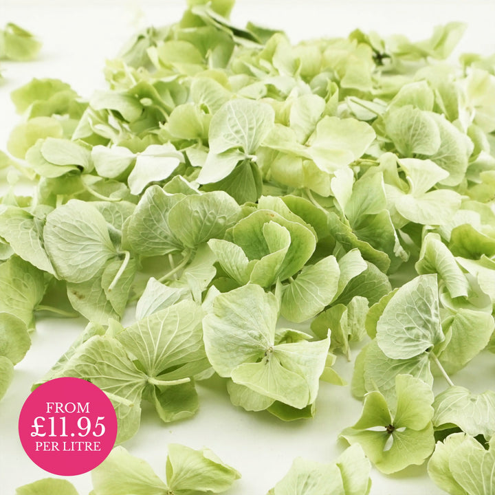Freeze-Dried Hydrangea Petals Wedding Confetti Mint Green