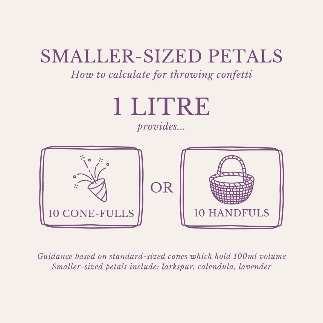 Larkspur Dried Petals Wedding Confetti Raspberry Vanilla