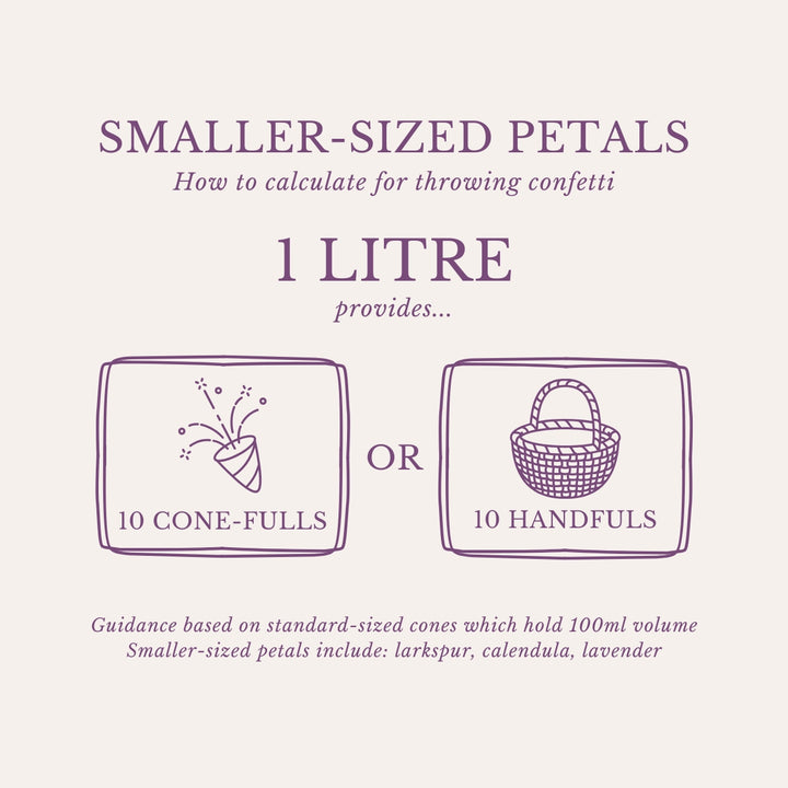 Larkspur Dried Petals Wedding Confetti Raspberry Vanilla