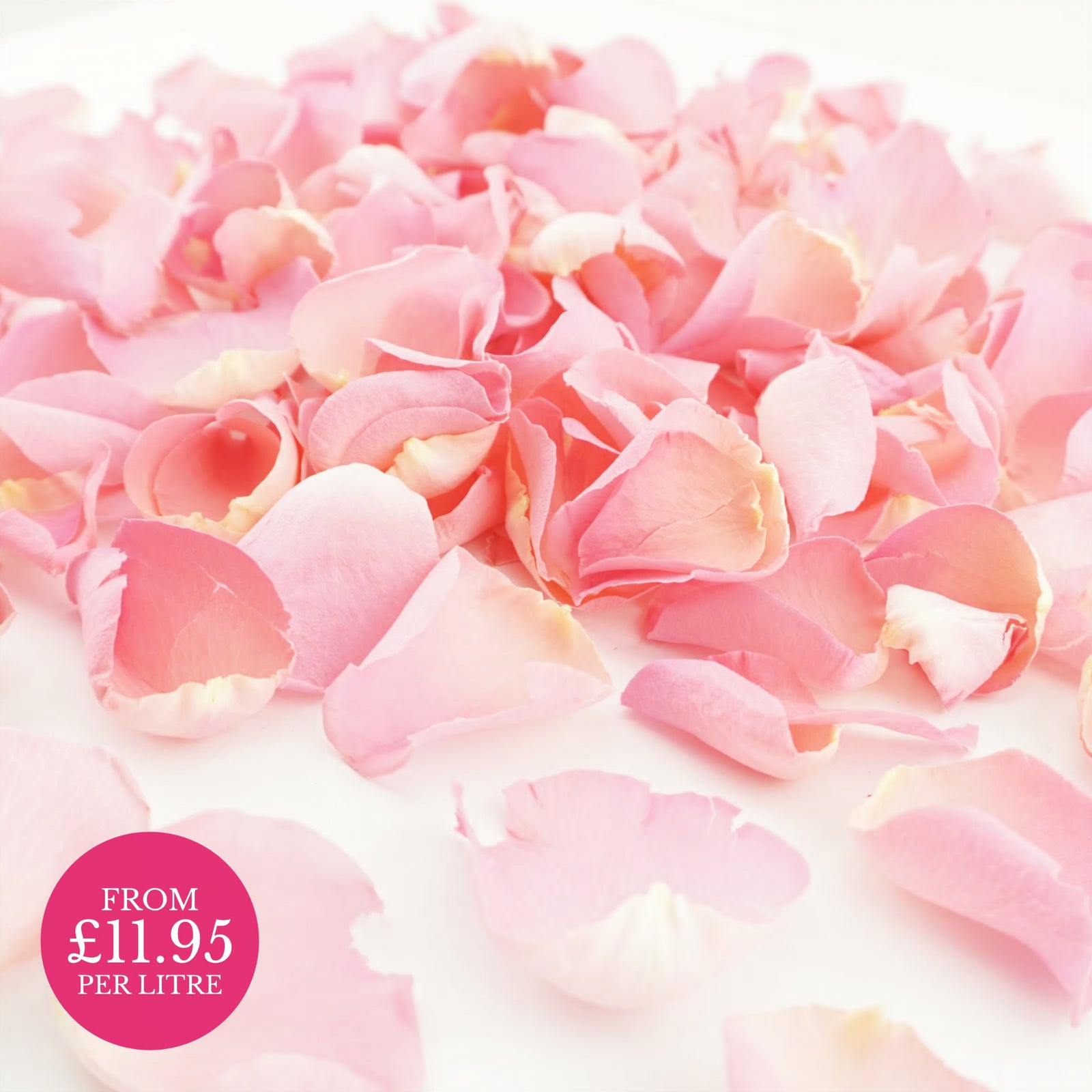 Freeze-dried rose petals - wedding confetti petals - biodegradable confetti - natural confetti - real flower petals - Pink Sherbet - The Dried Petal Company