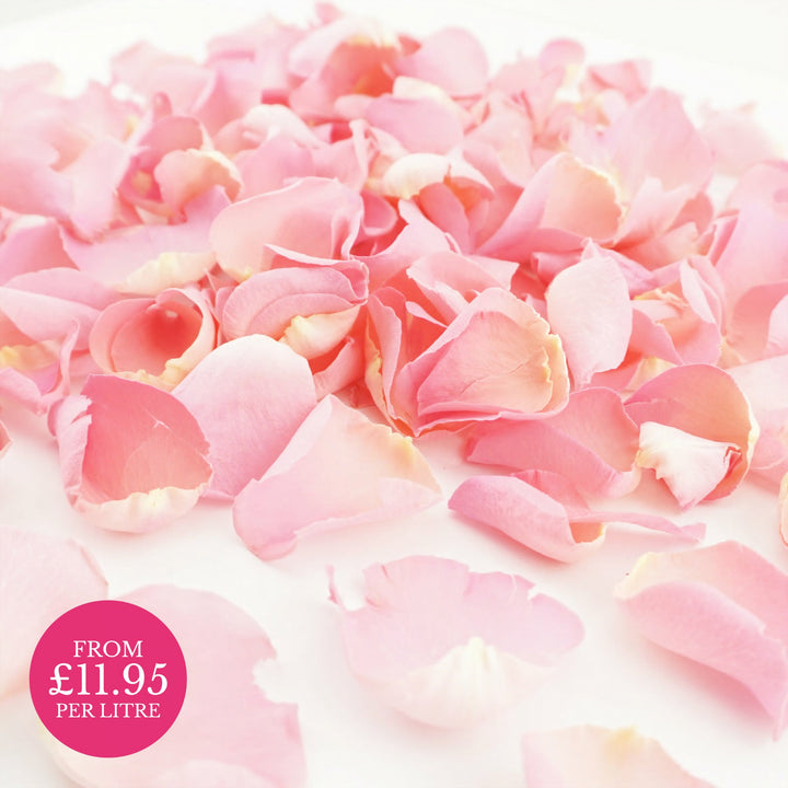 Freeze-Dried Rose Petals Wedding Confetti Pink Sherbet
