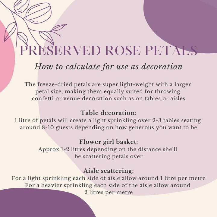 Preserved Rose Petals Biodegradable Wedding Confetti White