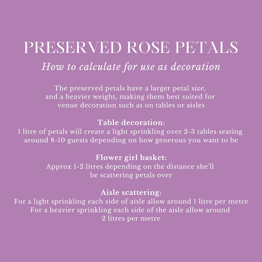 Preserved Rose Petals Biodegradable Wedding Confetti White