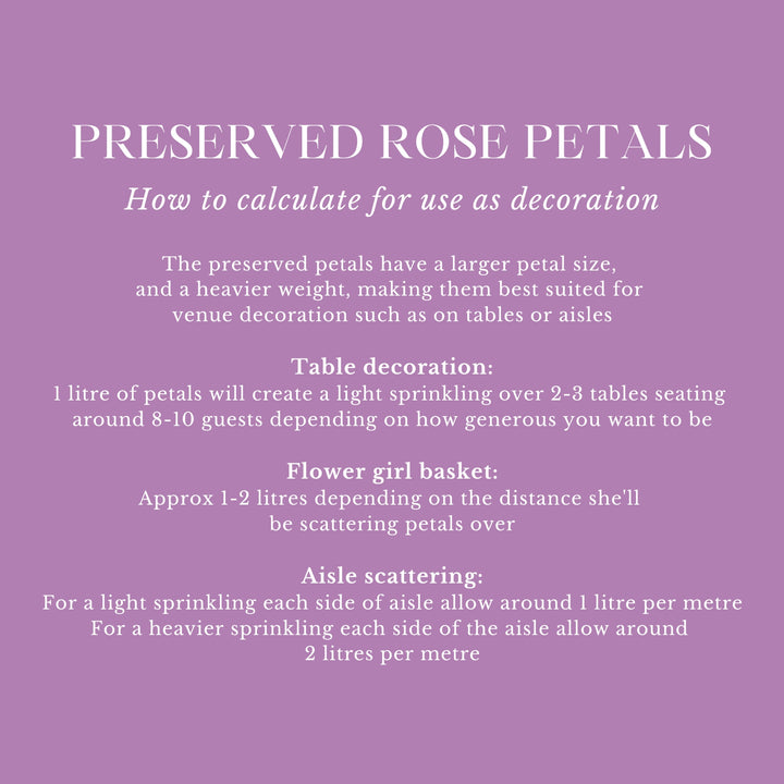 Preserved Rose Petals Biodegradable Wedding Confetti White