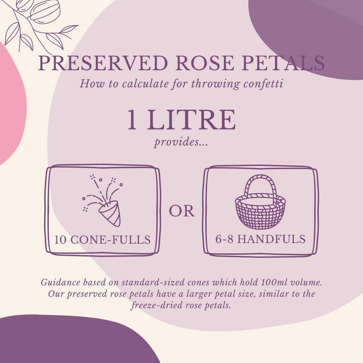 Preserved Rose Petals Biodegradable Wedding Confetti White