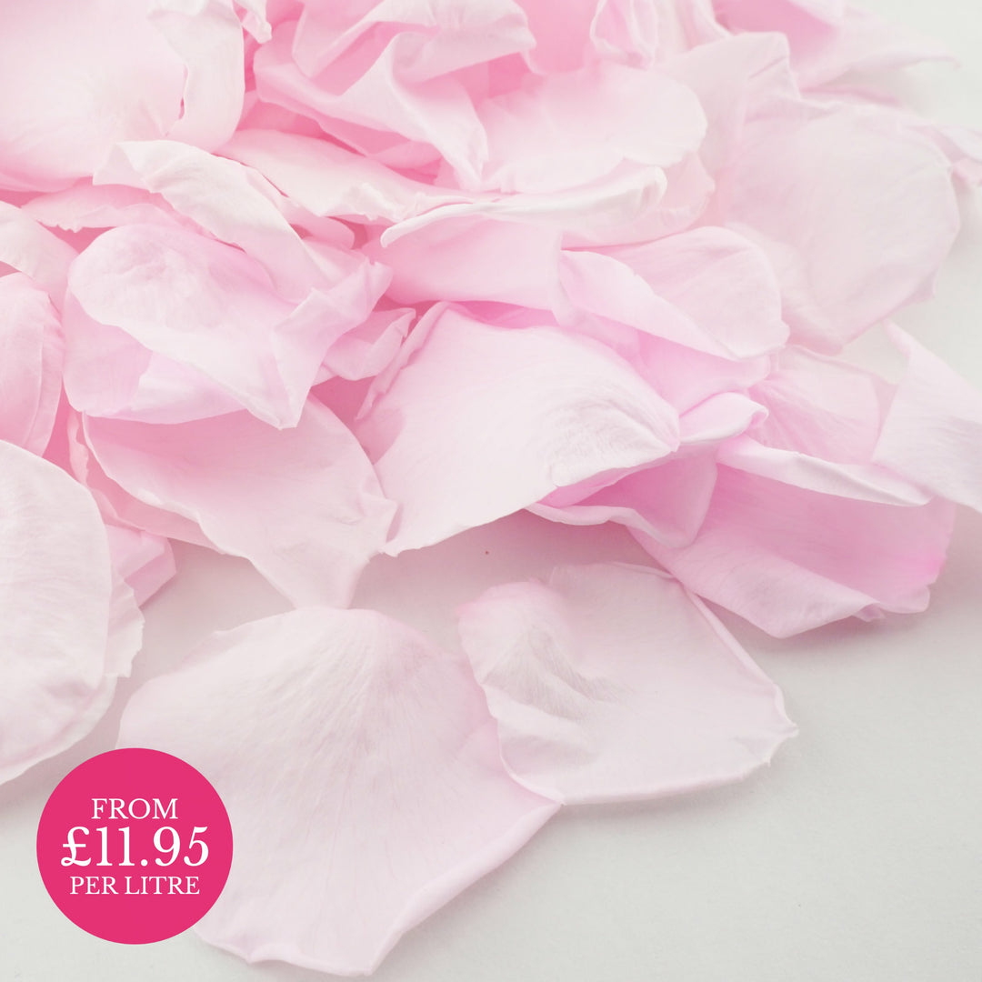 Pretty Pink - Preserved rose petals - wedding confetti - biodegradable confetti - The Dried Petal Company