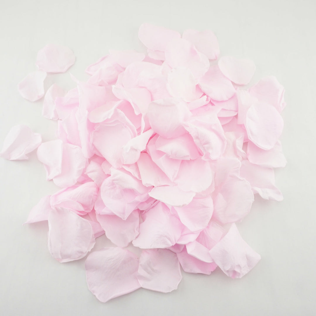 Pretty Pink - Preserved rose petals - wedding confetti - biodegradable confetti - The Dried Petal Company