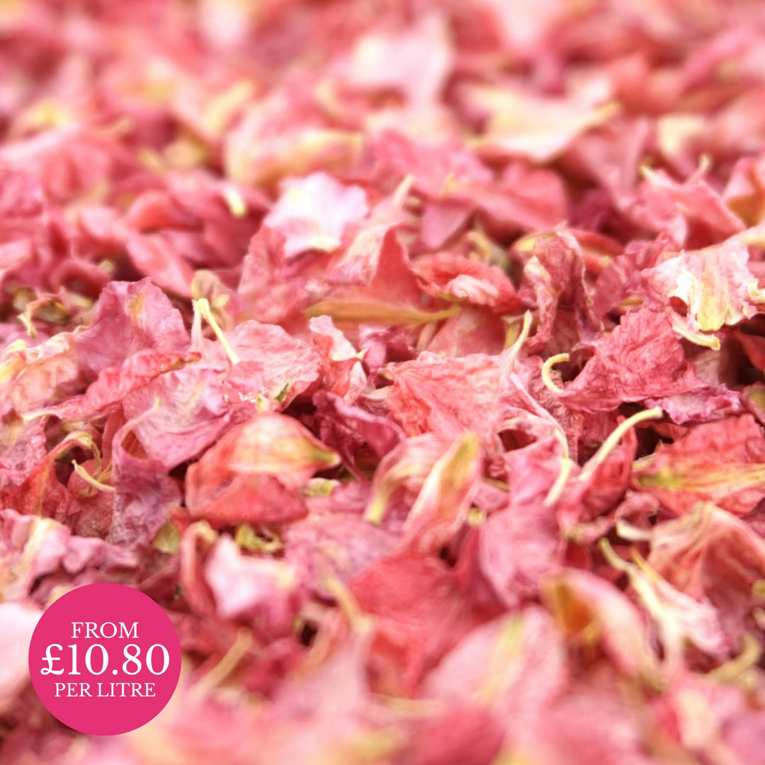 Raspberry pink - Dried Petal Wedding Confetti - larkspur petals - british grown - natural confetti - biodegradable confetti - flower confetti - The Dried Petal Company