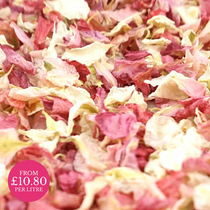 Raspberry Vanilla pink ivory - Dried Petal Wedding Confetti - larkspur petals - british grown - natural confetti - biodegradable confetti - flower confetti - The Dried Petal Company