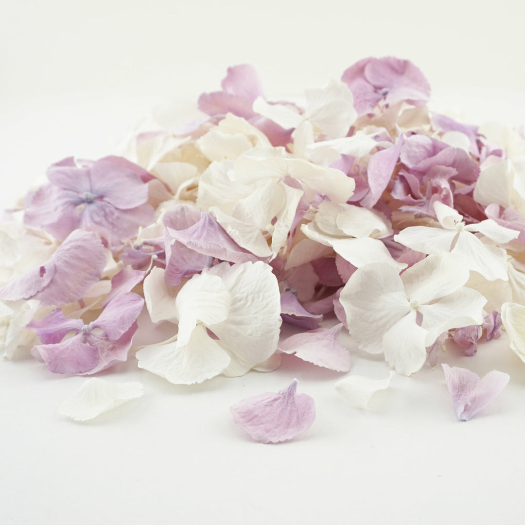 Hydrangea Petals Wedding Confetti Serenade