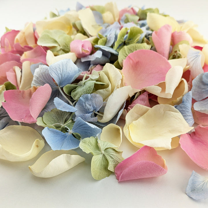 Freeze-dried rose petals and hydrangea petals. Biodegradable wedding confetti. Real flower petals. Spring Bloom - pastel colour mix cream, pink, green, blue - The Dried Petal Company