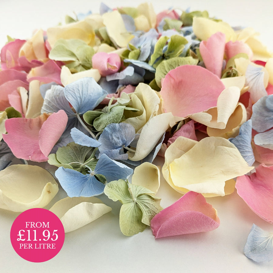 Freeze-dried rose petals and hydrangea petals. Biodegradable wedding confetti. Real flower petals. Spring Bloom - pastel colour mix cream, pink, green, blue - The Dried Petal Company