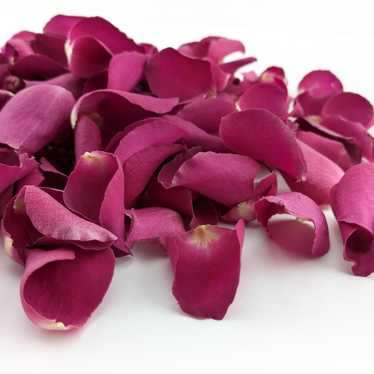 Freeze-dried rose petals - wedding confetti petals - biodegradable confetti - natural confetti - real flower petals - Sugar Plum - purple rose petals - The Dried Petal Company