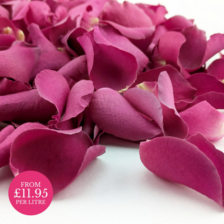 Freeze-Dried Rose Petals Wedding Confetti Sugar Plum