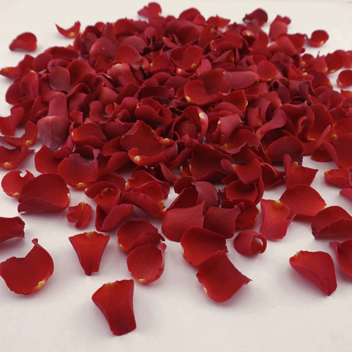 Sweet Cherry Freeze Dried Rose Petals Biodegradable Confetti