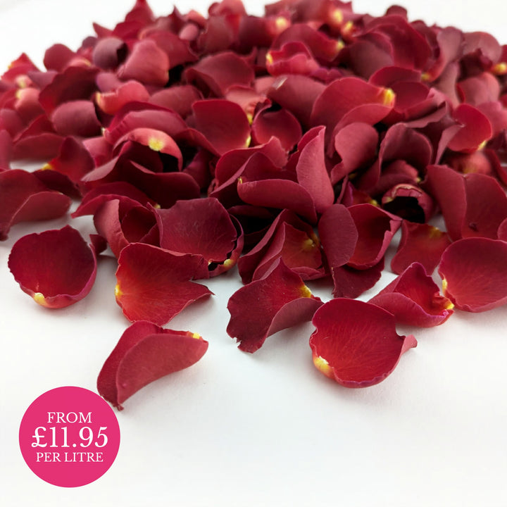 Freeze-Dried Rose Petals Wedding Confetti Sweet Cherry