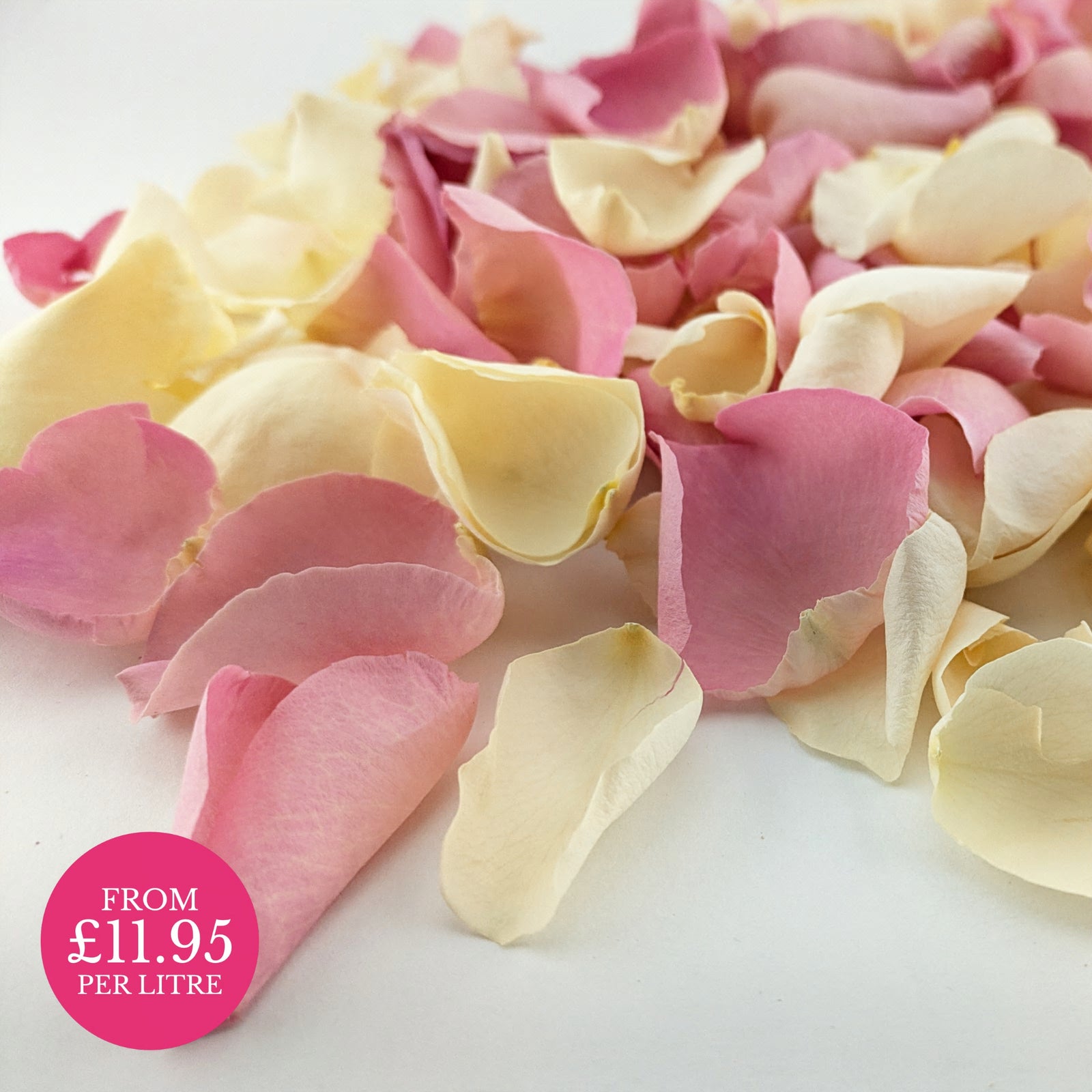 Freeze-dried rose petals - wedding confetti petals - biodegradable confetti - natural confetti - real flower petals - Sweethearts pink ivory - The Dried Petal Company