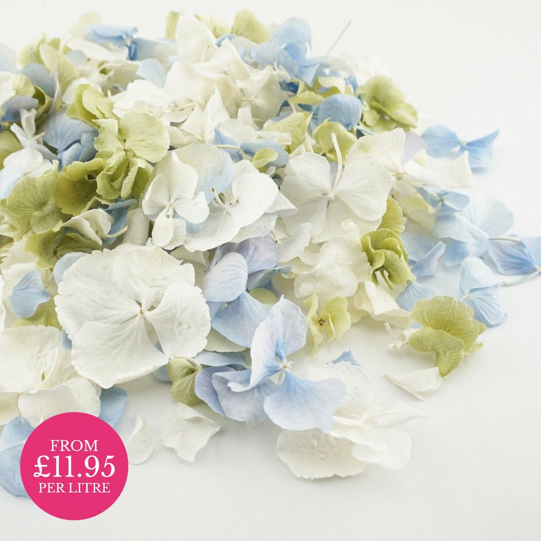 Symphony - Freeze-dried hydrangea petal mix - hydrangea petals - blue green ivory - biodegradable confetti - natural confetti - wedding confetti - The Dried Petal Company