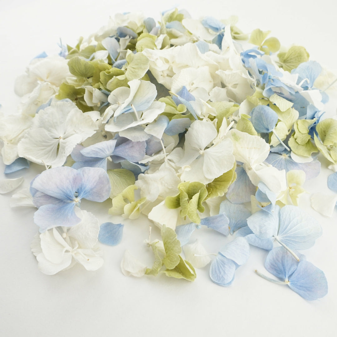 Symphony - Freeze-dried hydrangea petal mix - hydrangea petals - blue green ivory - biodegradable confetti - natural confetti - wedding confetti - The Dried Petal Company