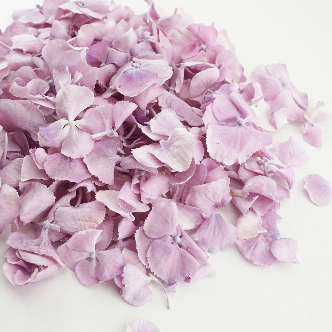 Hydrangea Petals Wedding Confetti Tenderness