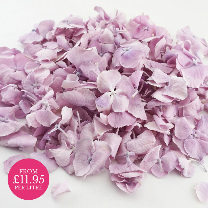 Hydrangea Petals Wedding Confetti Tenderness