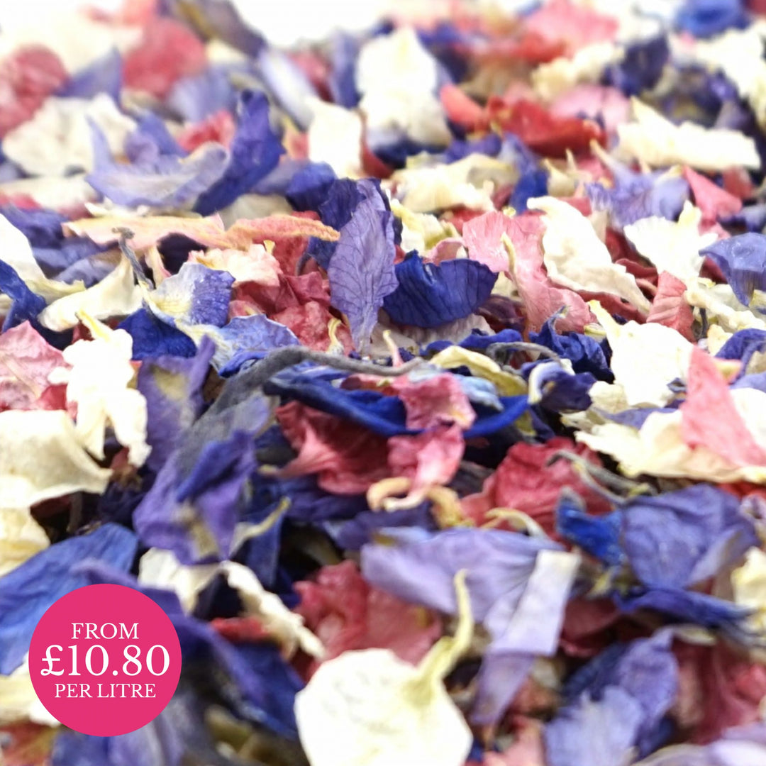 Very Berry - Dried Petal Wedding Confetti - larkspur petals - british grown - natural confetti - biodegradable confetti - flower confetti - The Dried Petal Company
