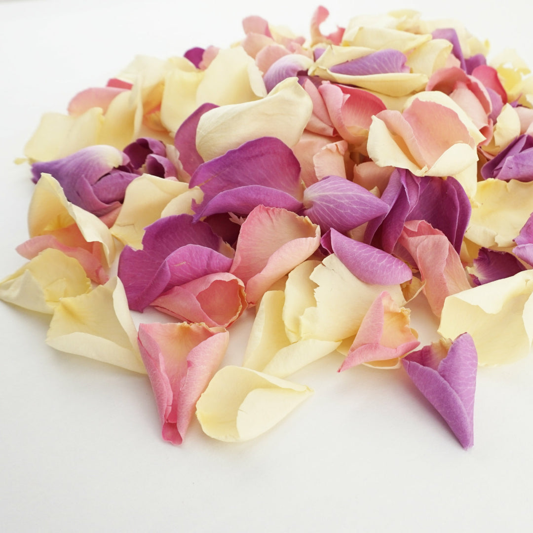 Whisper - Freeze-dried rose petals - cream purple lilac pink - natural confetti - biodegradable confetti - wedding confetti - The Dried Petal Company