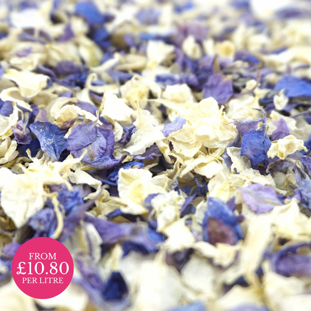 Winter Frost blue ivory- Dried Petal Wedding Confetti - larkspur petals - british grown - natural confetti - biodegradable confetti - flower confetti - The Dried Petal Company