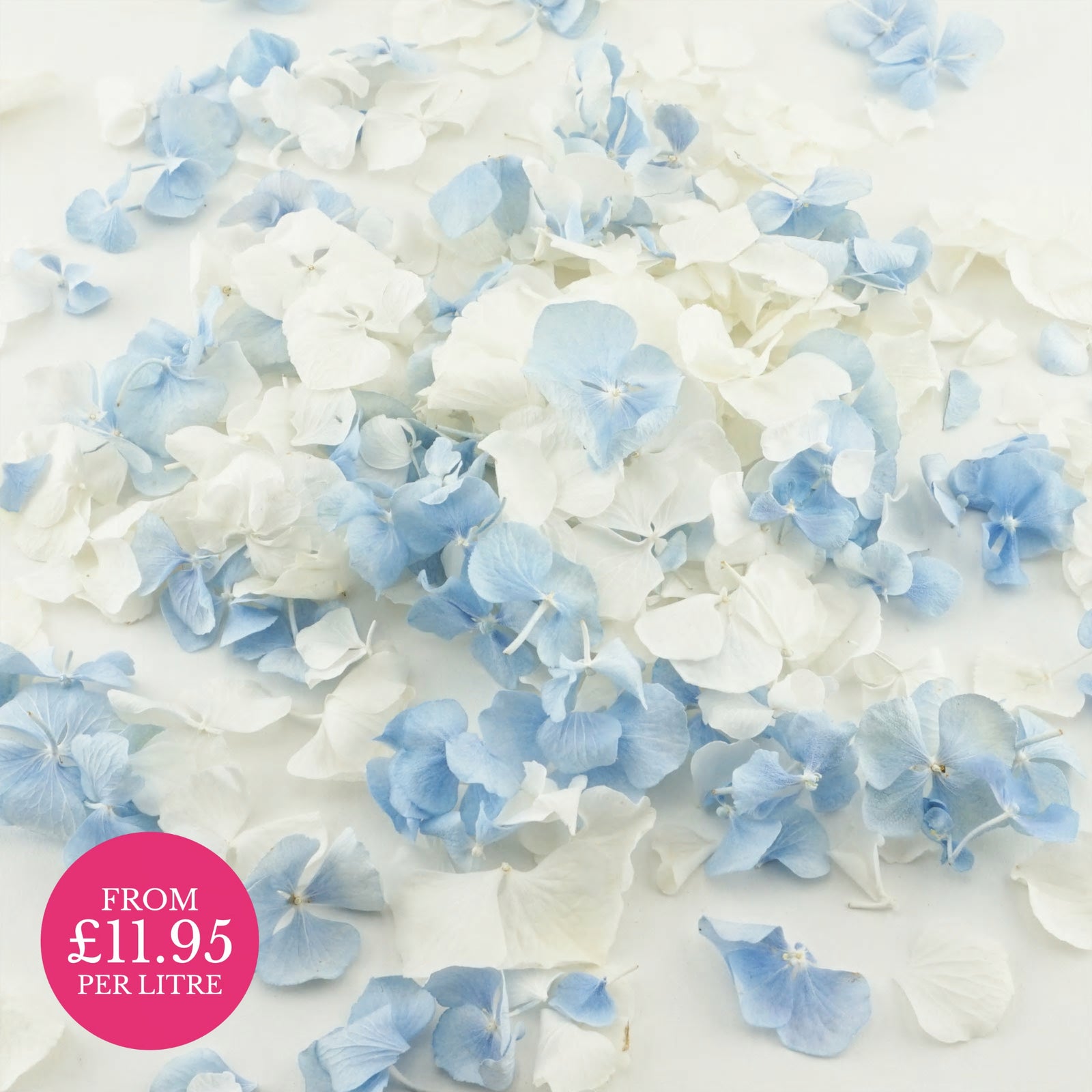 Freeze-dried hydrangea petals - wedding confetti petals - biodegradable confetti - natural confetti - real flower petals - Wistful blue ivory - The Dried Petal Company