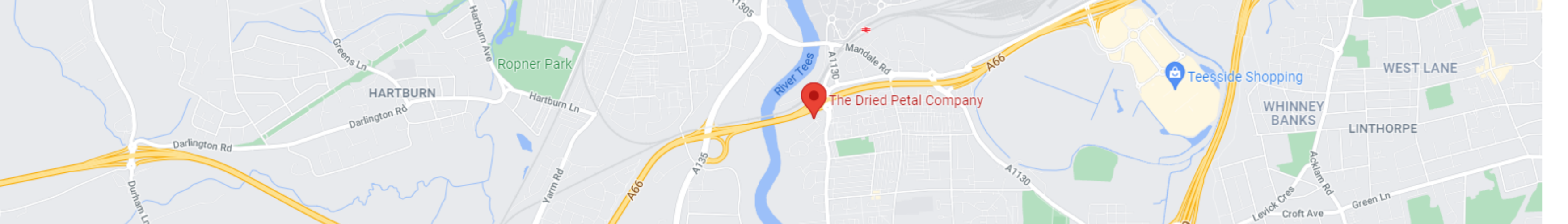 The Dried Petal Company location
