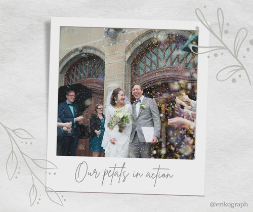 Real wedding confetti photographs in a video - See our petals in action - The Dried Petal Company