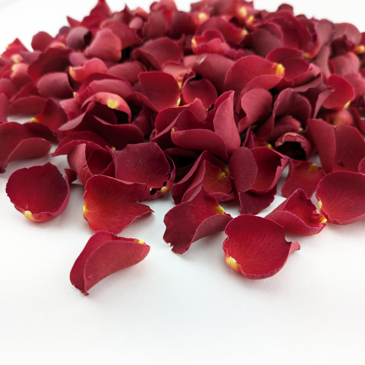Freeze-dried rose petals - wedding confetti petals - biodegradable confetti - natural confetti - real flower petals - Sweet Cherry - red rose petals - burgundy rose petals - The Dried Petal Company
