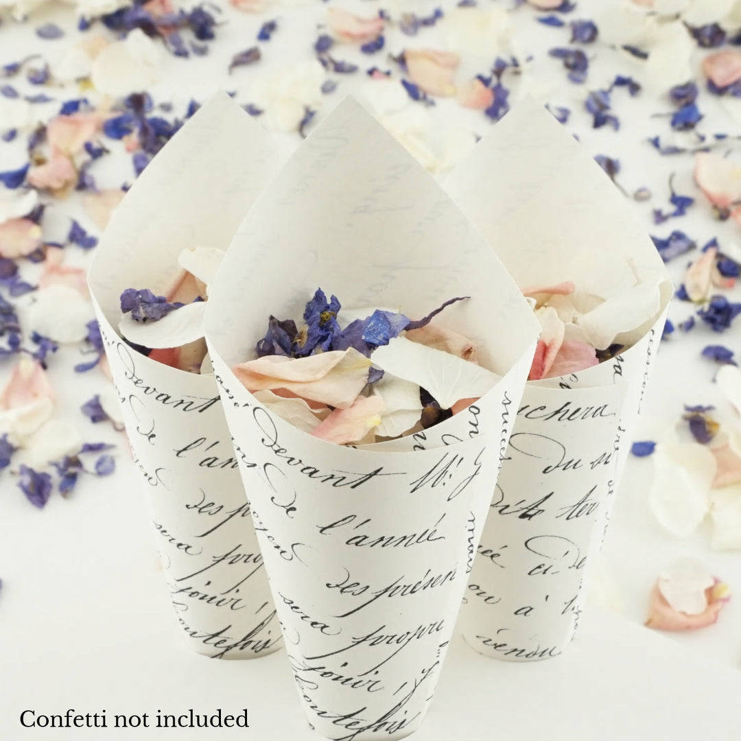 Handcrafted Antique French Wedding Confetti Cones
