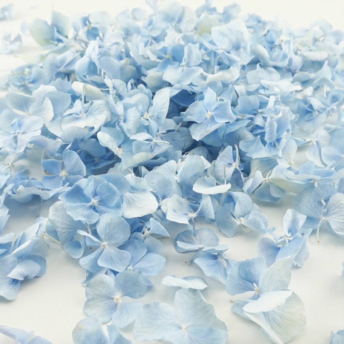 Freeze-dried hydrangea petals - wedding confetti petals - biodegradable confetti - natural confetti - real flower petals - Aquamarine blue - The Dried Petal Company
