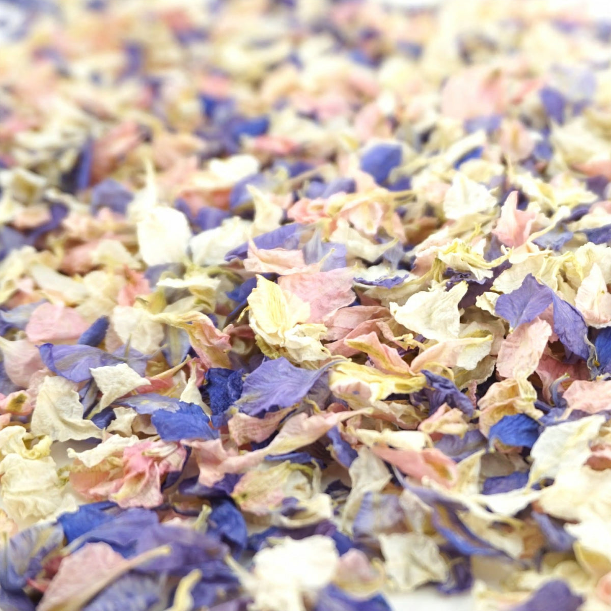 Blossom - Dried Petal Wedding Confetti - larkspur petals - british grown - natural confetti - biodegradable confetti - flower confetti - The Dried Petal Company