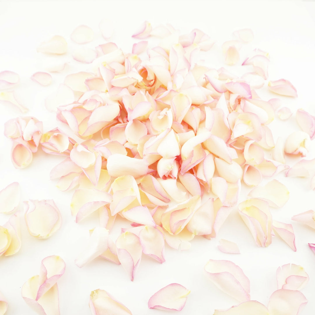 Freeze dried rose petals - Sweet pink